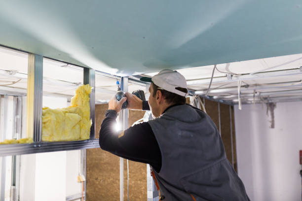 Best Cellulose Insulation in Weaver, AL