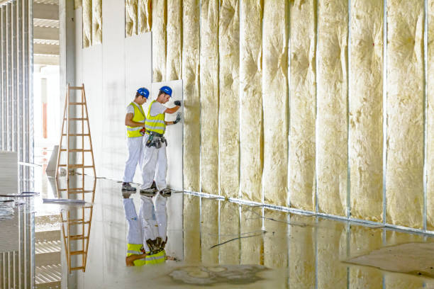 Types of Insulation We Offer in Weaver, AL